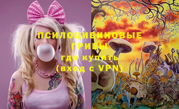 прущие грибы Осташков