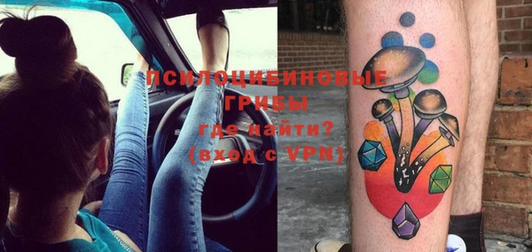 МДПВ Осинники